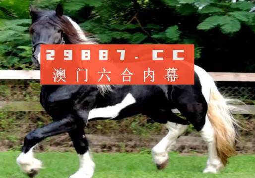 澳门香港一肖一码一中一特免费公开-精选解析与落实的详细结果