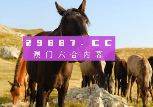 管家婆一码澳门资料公开-AI搜索详细释义解释落实